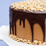 Peanut Butter Chocolate Cake