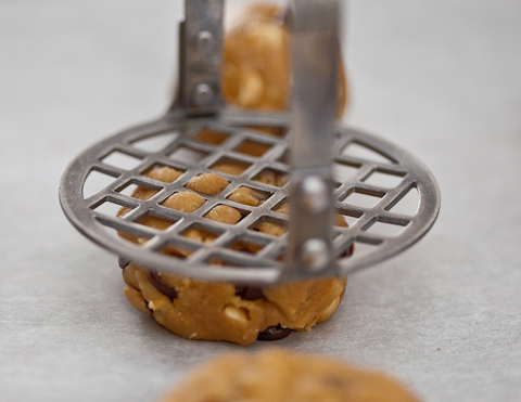 Peanut Butter Chocolate Chip Cookies