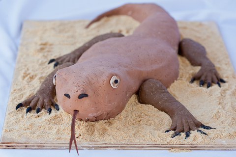 Komodo Dragon Cake