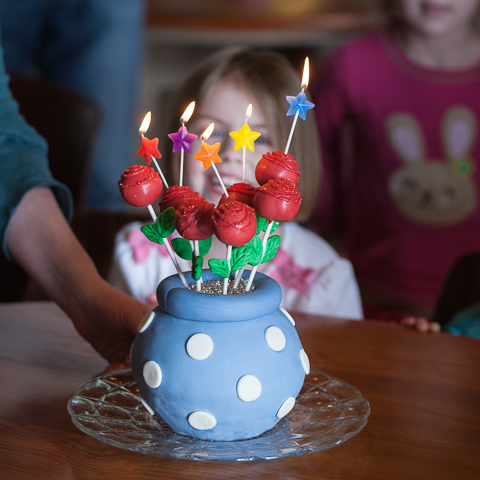 Rose Cake Pops in Vase Cake 