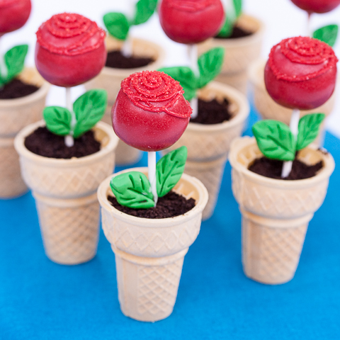 Rose Cake Pops in Edible Flower Pots