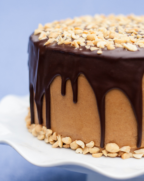 Reese's Peanut Butter Cake Recipe - Shugary Sweets