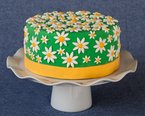 Chocolate Daisy Cake