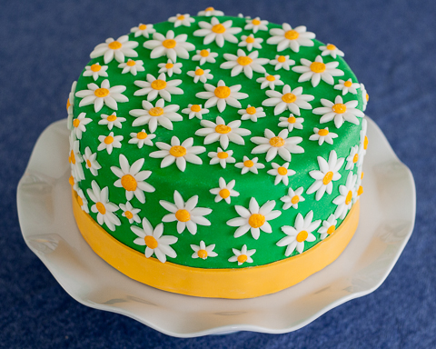 Simple daisy cake | Daisy cakes, Cool birthday cakes, Flower cake design