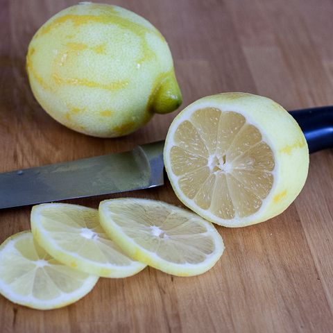 Frozen Lemon Slices | Flour Arrangements