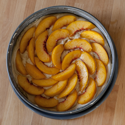 Nectarine Cake | Flour Arrangements